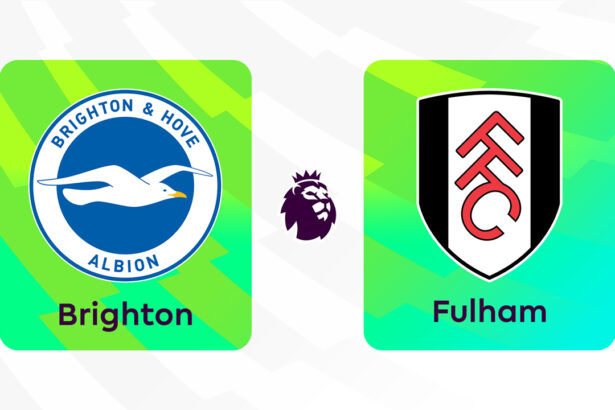 Onde Assistir Brighton and Hove Albion x Fulham: Premier League (Inglaterra) (1ª rodada)