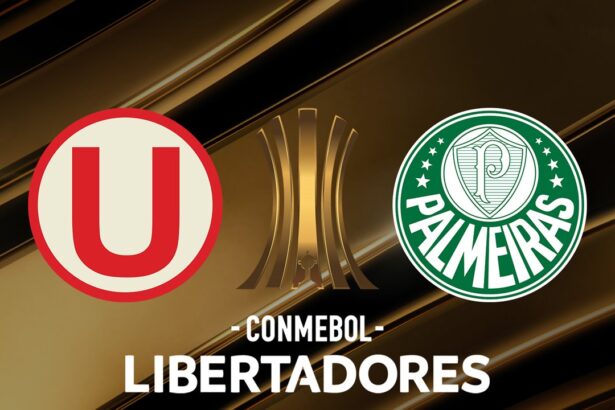 Onde Assistir Universitario x Palmeiras: Copa Libertadores (16ª rodada)