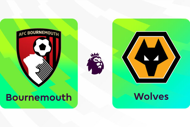 Onde Assistir Bournemouth x Wolverhampton Wanderers: Premier League (Inglaterra) (2ª rodada)