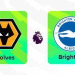 Onde Assistir Wolverhampton Wanderers x Brighton and Hove Albion: Premier League (Inglaterra) (7ª rodada)